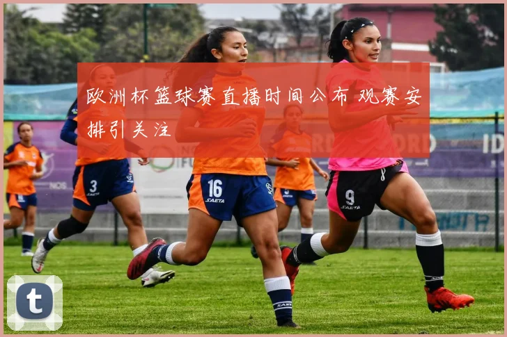 欧洲杯篮球赛直播时间公布 观赛安排引关注