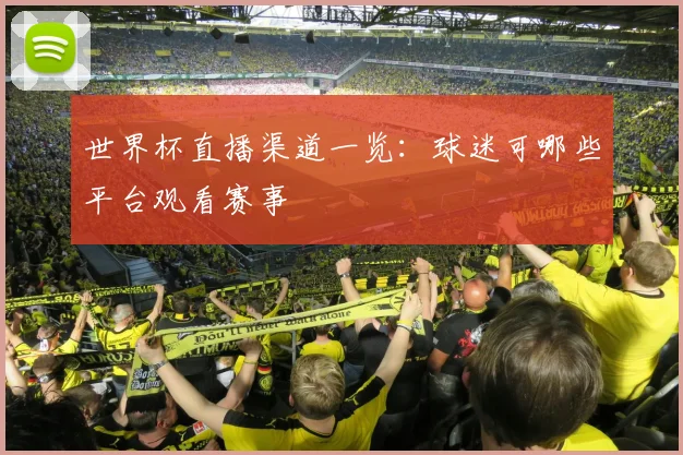 世界杯直播渠道一览：球迷可哪些平台观看赛事