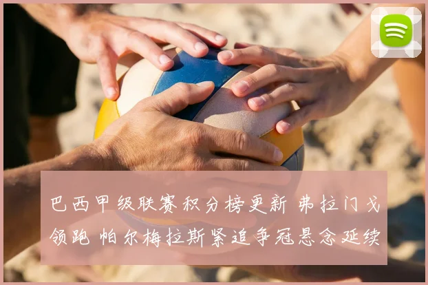 巴西甲级联赛积分榜更新 弗拉门戈领跑 帕尔梅拉斯紧追争冠悬念延续