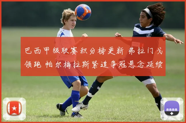 巴西甲级联赛积分榜更新 弗拉门戈领跑 帕尔梅拉斯紧追争冠悬念延续