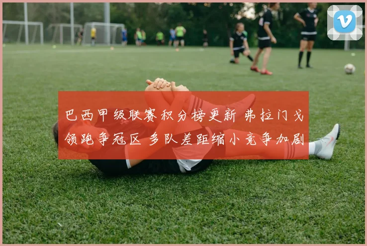 巴西甲级联赛积分榜更新 弗拉门戈领跑争冠区 多队差距缩小竞争加剧