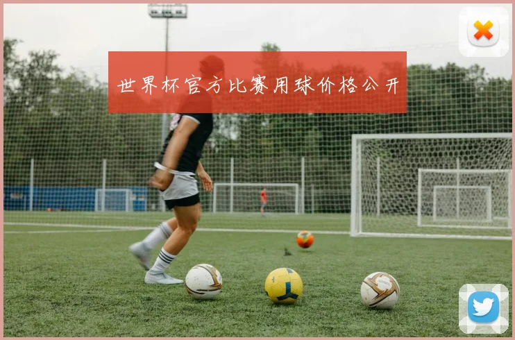 世界杯官方比赛用球价格公开
