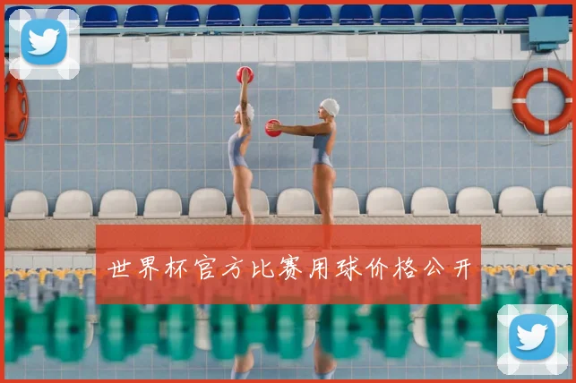 世界杯官方比赛用球价格公开
