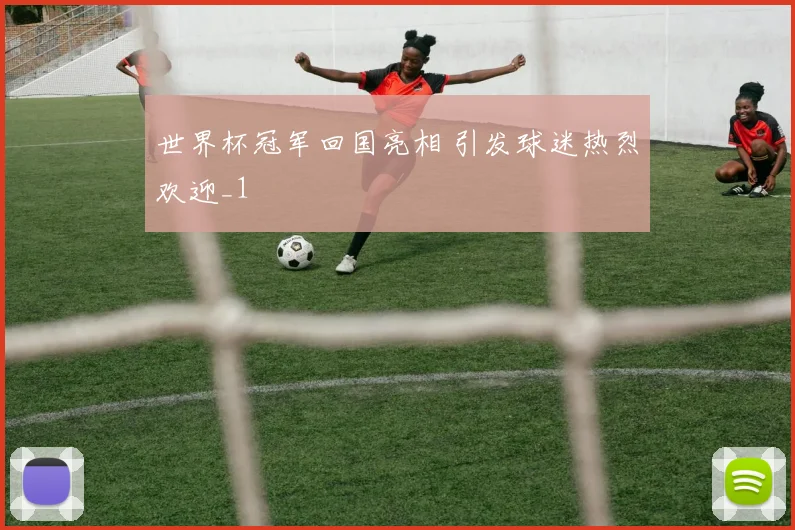 世界杯冠军回国亮相 引发球迷热烈欢迎_1