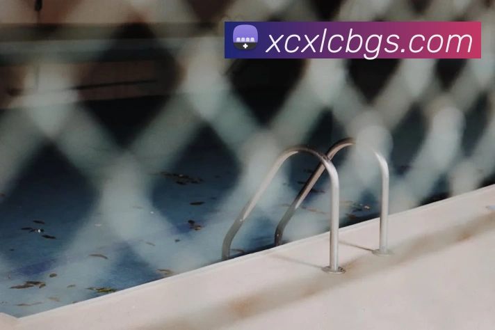 买球官方平台生态图